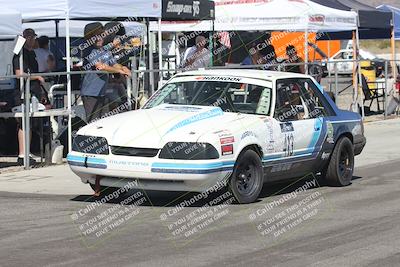 media/Oct-12-2025-Lucky Dog Racing (Sun) [[8adb5568ea]]/5-Pre Grid-Driver Change-Refueling/